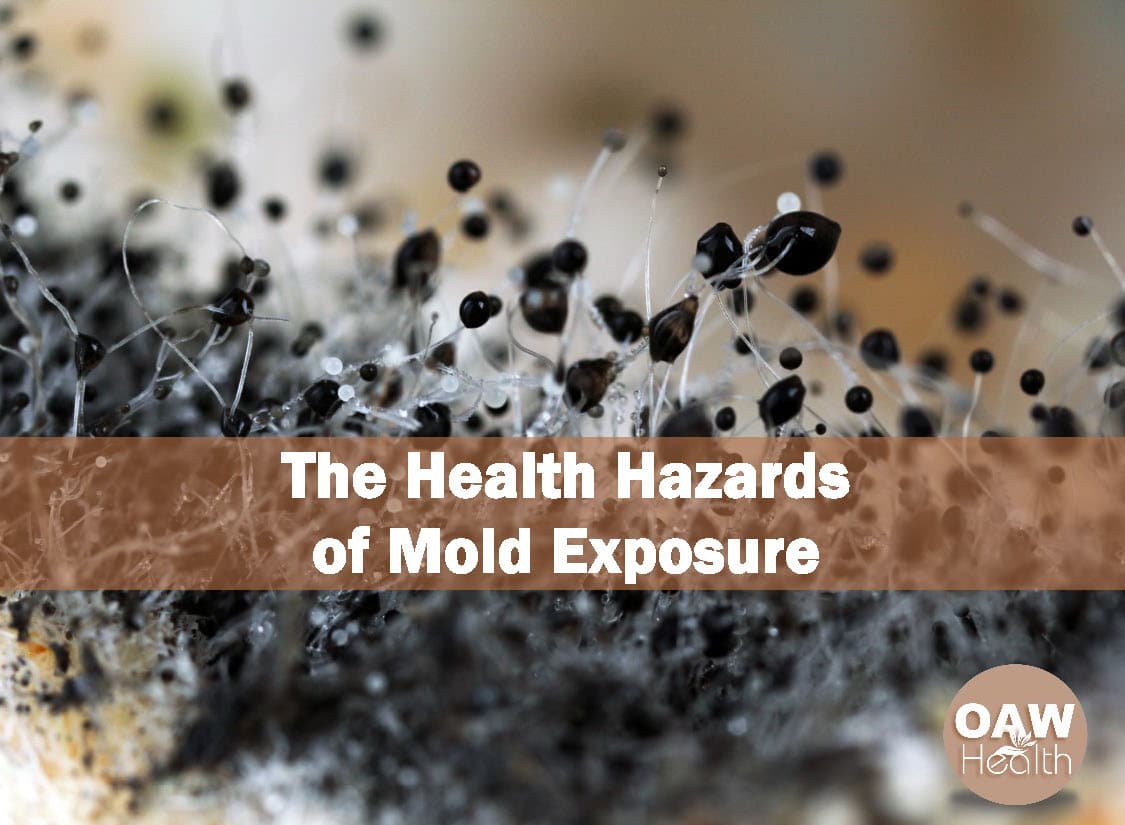 The Health Hazards of Mold Exposure OAWHealth